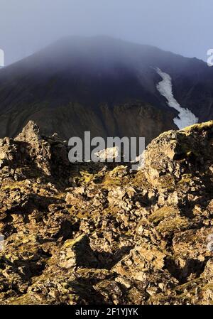 Champ de lave de Laugarhraun et montagne Brennisteinsalda, Landmannalaugar, Fjallabak, Islande, Europe Banque D'Images