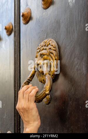 Knock bronzé sur une porte en bois sombre Banque D'Images