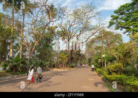 Un jeune couple fait une promenade matinale dans le parc public de la ville au lever du soleil à la région du lac Rabindra Sarobar à Kolkata, en Inde Banque D'Images