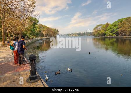 Un jeune couple nourrit des canards au lac de la ville avec un paysage pittoresque au lever du soleil dans la région de Rabindra Sarobar à Kolkata, en Inde Banque D'Images