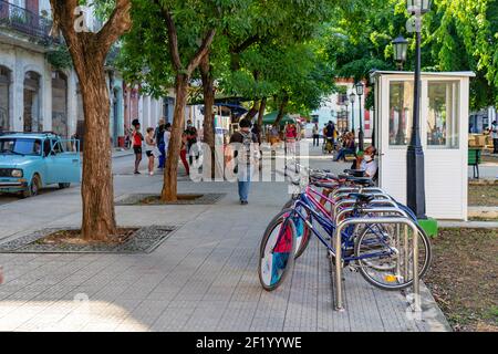 La Havane Cuba. 25 novembre 2020 : entreprise de location de vélos pour les touristes de la vieille Havane. Bicyclettes garées sur un trottoir Banque D'Images