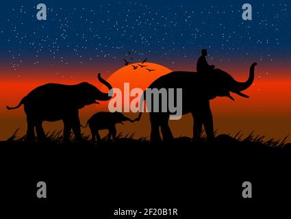 Image de silhouette éléphant noir avec éléphant mahout marche à la Forêt avec fond de montagne et de coucher de soleil soir vecteur de lumière Illustration Illustration de Vecteur