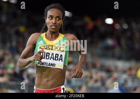 Genzebe Dibaba, d'Ethiopie, est en compétition avec les femmes du 3000m lors des Championnats du monde en salle de l'IAAF au Centre des congrès de l'Oregon, à Portland, Etats-Unis, le 20 mars 2016 - photo Philippe Millereau / KMSP / DPPI Banque D'Images