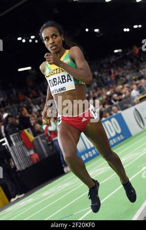 Genzebe Dibaba, d'Ethiopie, est en compétition avec les femmes du 3000m lors des Championnats du monde en salle de l'IAAF au Centre des congrès de l'Oregon, à Portland, Etats-Unis, le 20 mars 2016 - photo Philippe Millereau / KMSP / DPPI Banque D'Images