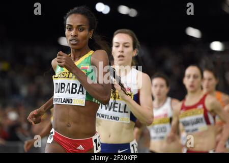 Genzebe Dibaba, d'Ethiopie, est en compétition avec les femmes du 3000m lors des Championnats du monde en salle de l'IAAF au Centre des congrès de l'Oregon, à Portland, Etats-Unis, le 20 mars 2016 - photo Philippe Millereau / KMSP / DPPI Banque D'Images