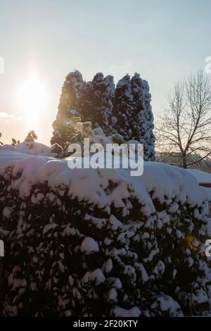Lever de soleil dans un jardin d'hiver avec des reflets de lumière à un froid jour de février Banque D'Images