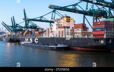 Les conteneurs sont déchargés du MSC Rachele dans le port d'Anvers Banque D'Images