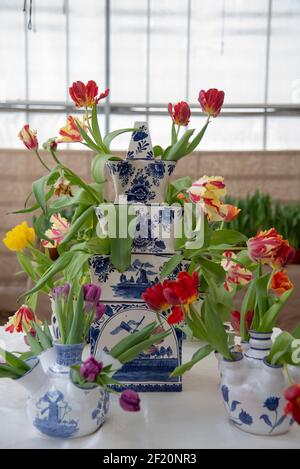 Une composition de fleurs de printemps dans des vases dans le jardin botanique. Banque D'Images