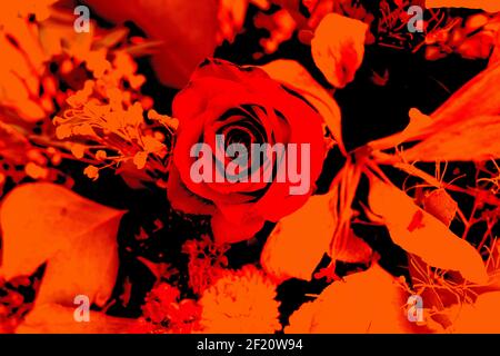 Arrière-plans texturés pour bannières et pages web, jeux, etc... arrière-plans colorés, avec des thèmes floraux répétitifs. Banque D'Images