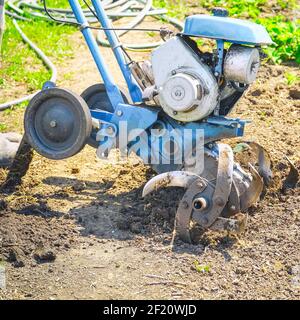 Motoculteurs cultivateur pour le travail du sol. Jardinage. Mise au point sélective Banque D'Images