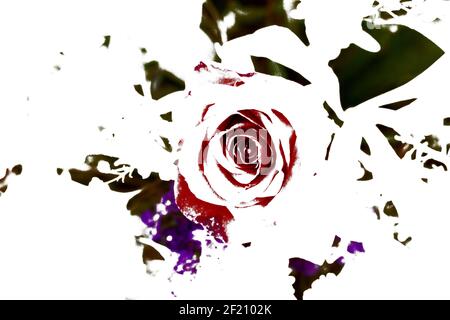 Arrière-plans texturés pour bannières et pages web, jeux, etc... arrière-plans colorés, avec des thèmes floraux répétitifs. Banque D'Images