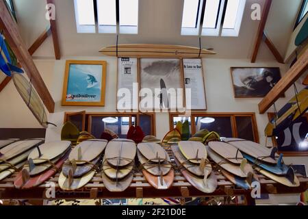 FRESNO, ÉTATS-UNIS - 02 mars 2021 : une vue ascendante de nombreux planches de surf sur un rafter à l'intérieur du magasin de longueur d'onde avec de grandes affiches sur le mur et natur Banque D'Images