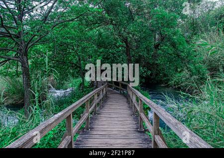 Route en bois dans la forêt et à travers le lac en Croatie. De beaux arbres verts et de l'herbe. Banque D'Images