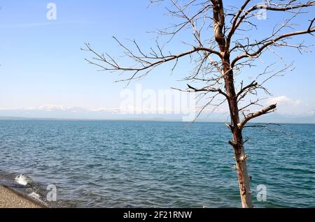 Belle rive du lac de Sevan, Arménie Banque D'Images