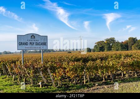 Magnifiques couleurs d'automne dans les vignobles du Château Grand Puy Ducasse en Gironde près de Bordeaux Banque D'Images