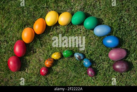 les œufs de poulet et de caille sont colorés dans des couleurs arc-en-ciel, se trouvent sur l'herbe lors d'un soleil vacances de printemps. Traditions familiales. Joyeuses Pâques Banque D'Images
