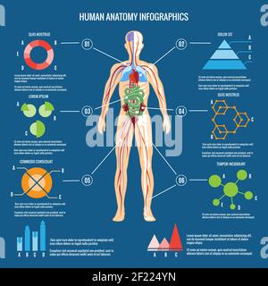 Motif infographique en couleur d'anatomie humaine sur fond bleu vert. Illustration de Vecteur