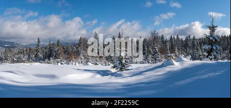 En hiver, en bordure de village alpin isolé, la neige dévie sur le bord de la forêt de sapins de montagne. Sac à dos touristique sur un TR de randonnée fraîchement trodden Banque D'Images