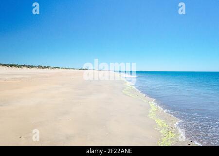 Une plage de sable blanc paisible sur la côte espagnole; paradis sous le ciel bleu clair à Donana, Huelva, Andalousie, Espagne Banque D'Images