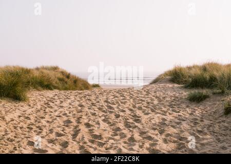 Sentier sablonneux bordé de dunes de sable et d'herbe menant à la mer Banque D'Images