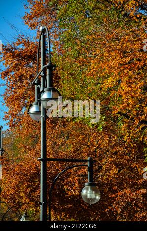 Lanterne dans le parc d'automne par une journée ensoleillée Banque D'Images