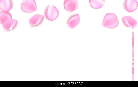 Fond avec pétales de rose. Vecteur EPS 10. Pétales tombant sur fond blanc. Pétales de fleurs. Pétales Sakura. Illustration de Vecteur