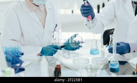 Les chercheurs en microbiologie examinent les bactéries dans une boîte de Pétri. Banque D'Images