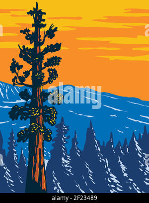 Affiche WPA du Boole Tree un séquoia géant dans le Converse Basin Grove du monument national Giant Sequoia de la Sierra Nevada, dans le comté de Fresno, en Californie Illustration de Vecteur
