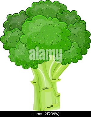 Icône isolée de brocoli de légumes frais Illustration de Vecteur
