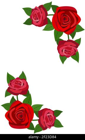 roses rouges avec des feuilles isolées sur un fond blanc Illustration de Vecteur