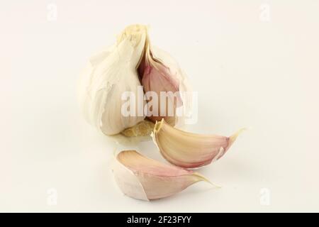 Tête d'ail et gousses d'ail, Allium sativum isolé sur blanc avec espace de copie Banque D'Images