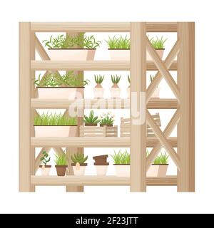 Rayonnages en bois, vitrine avec plantes, pots de fleurs de style dessin animé, texturés et détaillés isolés sur fond blanc. Mobilier d'intérieur, livre élégant Illustration de Vecteur