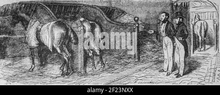 le sportif parisien, cavalier, les français peints par eux-memes, éditeur n.j. philippart 1861 Banque D'Images