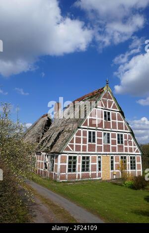 Fortement endommagée d'un toit de chaume d'une maison à colombages Banque D'Images