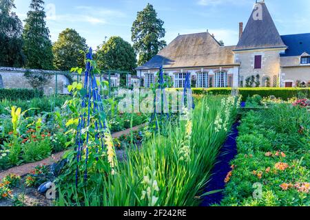 France, Loir et cher, Cheverny, Château de Cheverny, le potager, haricots, gladioli, daylilas ... // France, Loir-et-cher (41), Cheverny, châ Banque D'Images