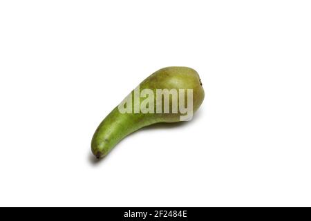 pear conférence, isolé sur fond blanc. magnifiquement courbé, avec tige courte, demi-vert, avec taches gris-brun, la moitié de la peau est rugueuse. avec coupe Banque D'Images