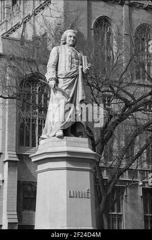 Monument à Carl Linnaeus /Linne/, Université de Chicago, Chicago il, Etats-Unis, avril 1977 Banque D'Images