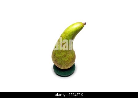 conférence de poires sur support rond, isolé sur fond blanc. magnifiquement courbé, avec tige courte, demi-vert, avec taches gris-marron, demi-peau est ro Banque D'Images
