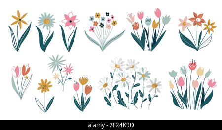 Ensemble de fleurs différentes sur fond blanc. Collection avec roses, feuilles, bouquets floraux, compositions florales. Ensemble de branches florales. Rose fleur r Illustration de Vecteur