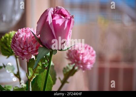 Roses artificielles en détail, répliques parfaites de roses naturelles. Banque D'Images
