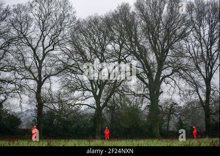 Great Missenden, Buckinghamshire, Royaume-Uni. 10 mars 2021. Tôt ce matin, HS2 Ltd et l'équipe nationale d'expulsion ont expulsé les activistes Stop HS2 du camp de protestation Save Leather Lane. HS2 couperait des membres des chênes dont certains avaient clairement des cafouilles potentielles ainsi que détruisant des haies pour mettre en place une barrière de sécurité élevée. Les gens du coin sont furieux que HS2 soit maintenant tombé 14 ou plus de ces magnifiques chênes très appréciés. La très controversée liaison ferroviaire High Speed 2 de Londres à Birmingham est en train de sculpter une énorme cicatrice à travers les Chilterns qui est un AONB. Crédit : Maureen McLean/Alay Live Banque D'Images