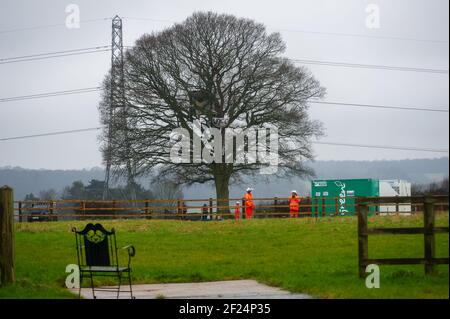 Great Missenden, Buckinghamshire, Royaume-Uni. 10 mars 2021. Une maison d'arbre haut dans l'un des chênes. Tôt ce matin, HS2 Ltd et l'équipe nationale d'expulsion ont expulsé les activistes Stop HS2 du camp de protestation Save Leather Lane. HS2 couperait des membres des chênes dont certains avaient clairement des cafouilles potentielles ainsi que détruisant des haies pour mettre en place une barrière de sécurité élevée. Les gens du coin sont furieux que HS2 soit maintenant tombé 14 ou plus de ces magnifiques chênes très appréciés. La très controversée liaison ferroviaire High Speed 2 de Londres à Birmingham est en train de sculpter une énorme cicatrice à travers les Chilterns qui est une AO Banque D'Images