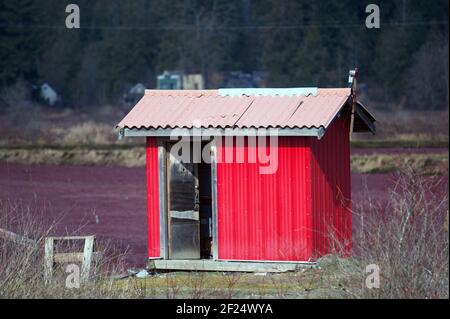 Hangar d'entretien rouge sur la tourbière de canneberge Maple Ridge, B. C., Canada Banque D'Images