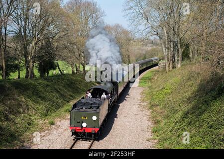 Train à vapeur sur la ligne de chemin de fer Bluebell à Sussex Banque D'Images