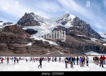 Glacier Athabasca dans le parc national Jasper Alberta Canada Banque D'Images