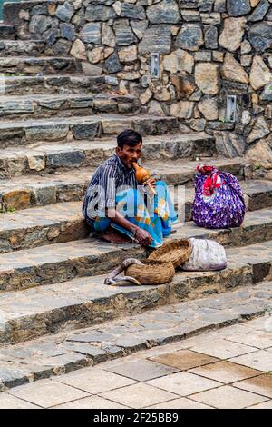 COLOMBO, SRI LANKA - 18 JANVIER 2014 : charmeur de serpent Cobra non identifié au temple de Gangaramaya à Colombo, Sri Lanka Banque D'Images