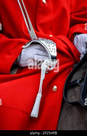 Lifeguard de la Household Cavalry Queens Banque D'Images