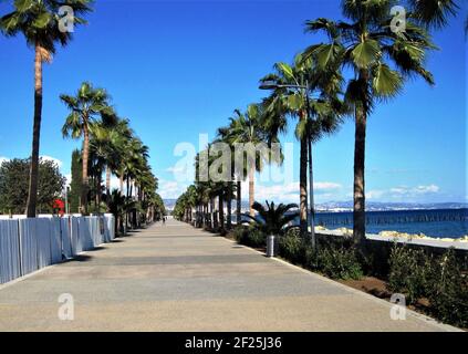 Passerelle côtière bordée de palmiers, Limassol, Chypre Banque D'Images