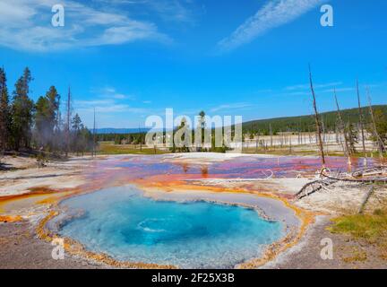 X par défaut Banque D'Images