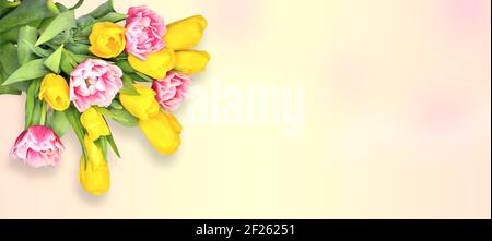 Carte de vœux à motif floral de printemps avec fleurs de tulipe jaune et rose-blanc sur fond pastel dégradé avec espace pour le texte. Bouquet élégant de doux spri Banque D'Images